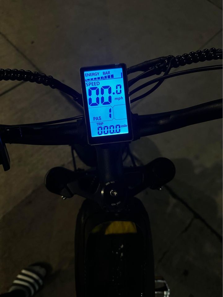 E bike