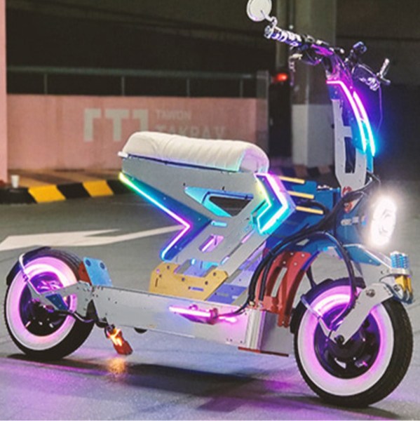 Foldable Rider Electric Bike!Clearance Sale!